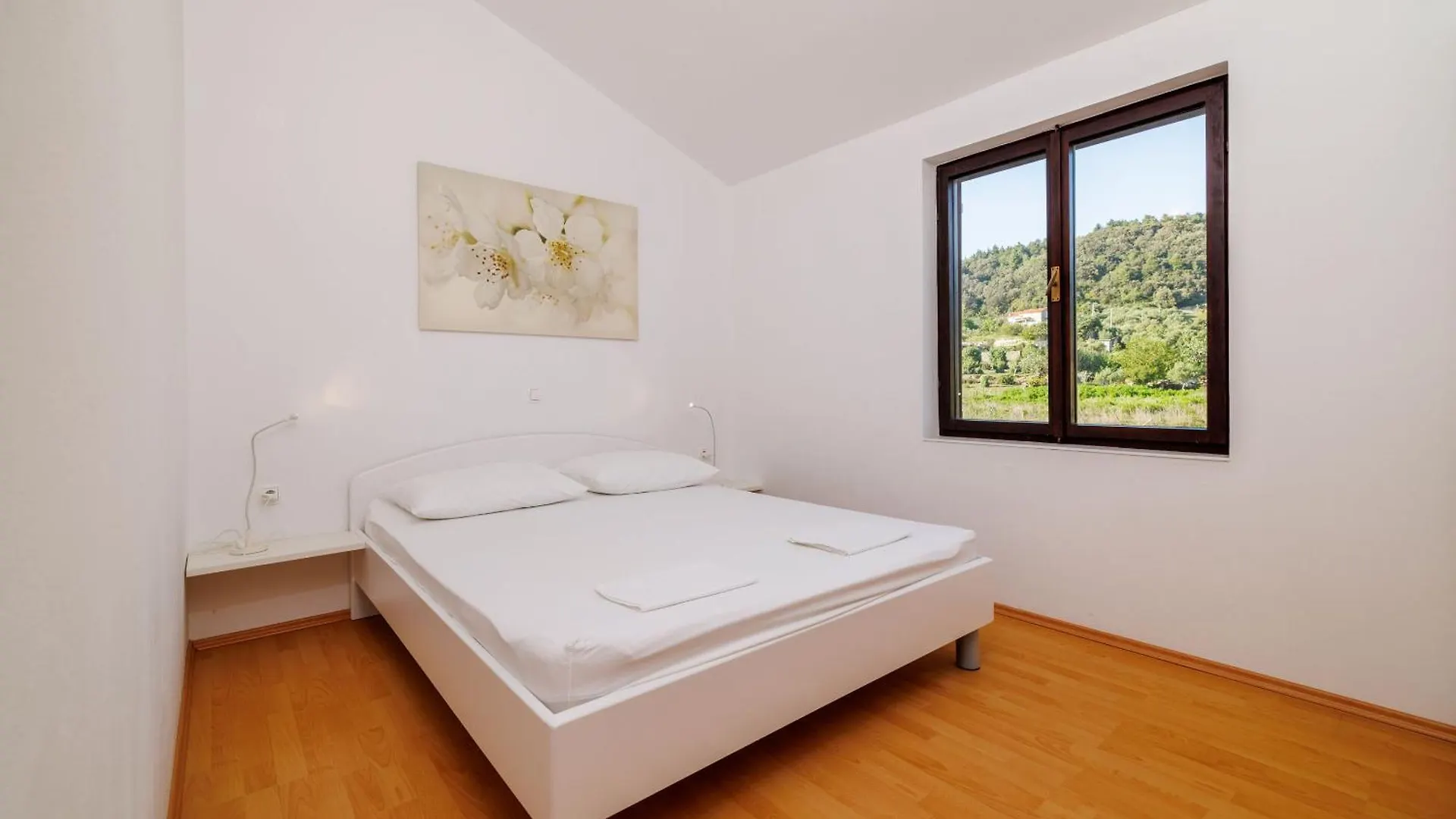 Apartments Biserka Palit